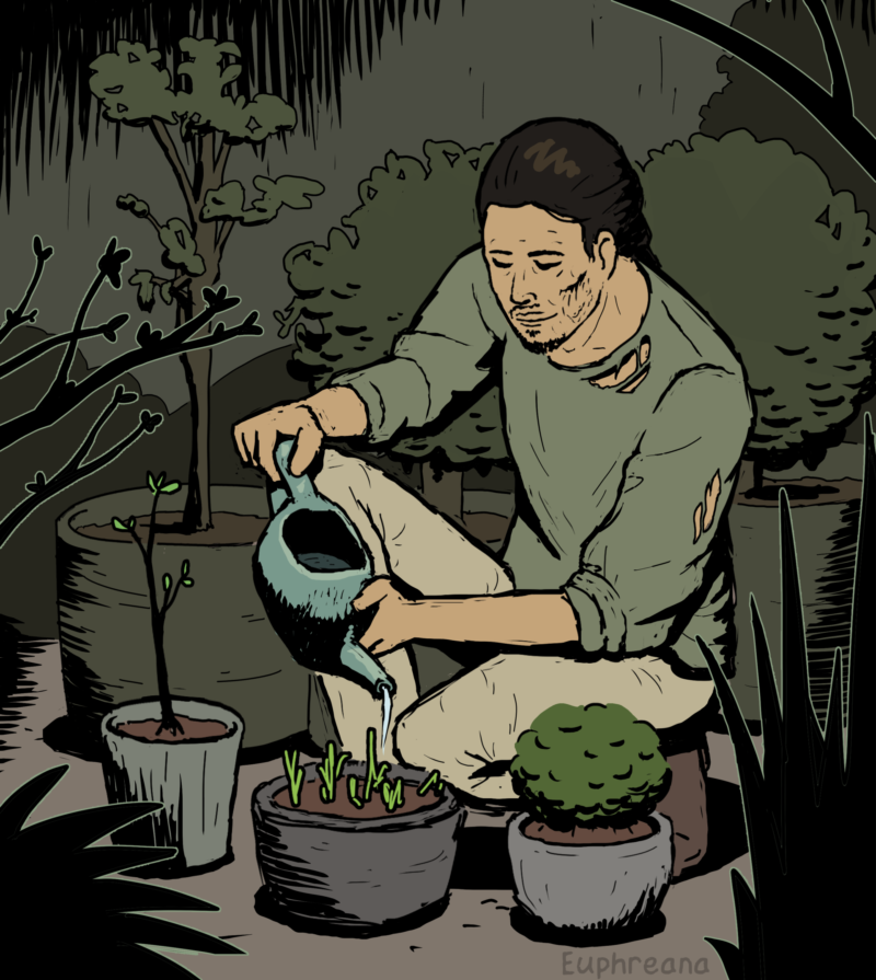 IL gardening 3